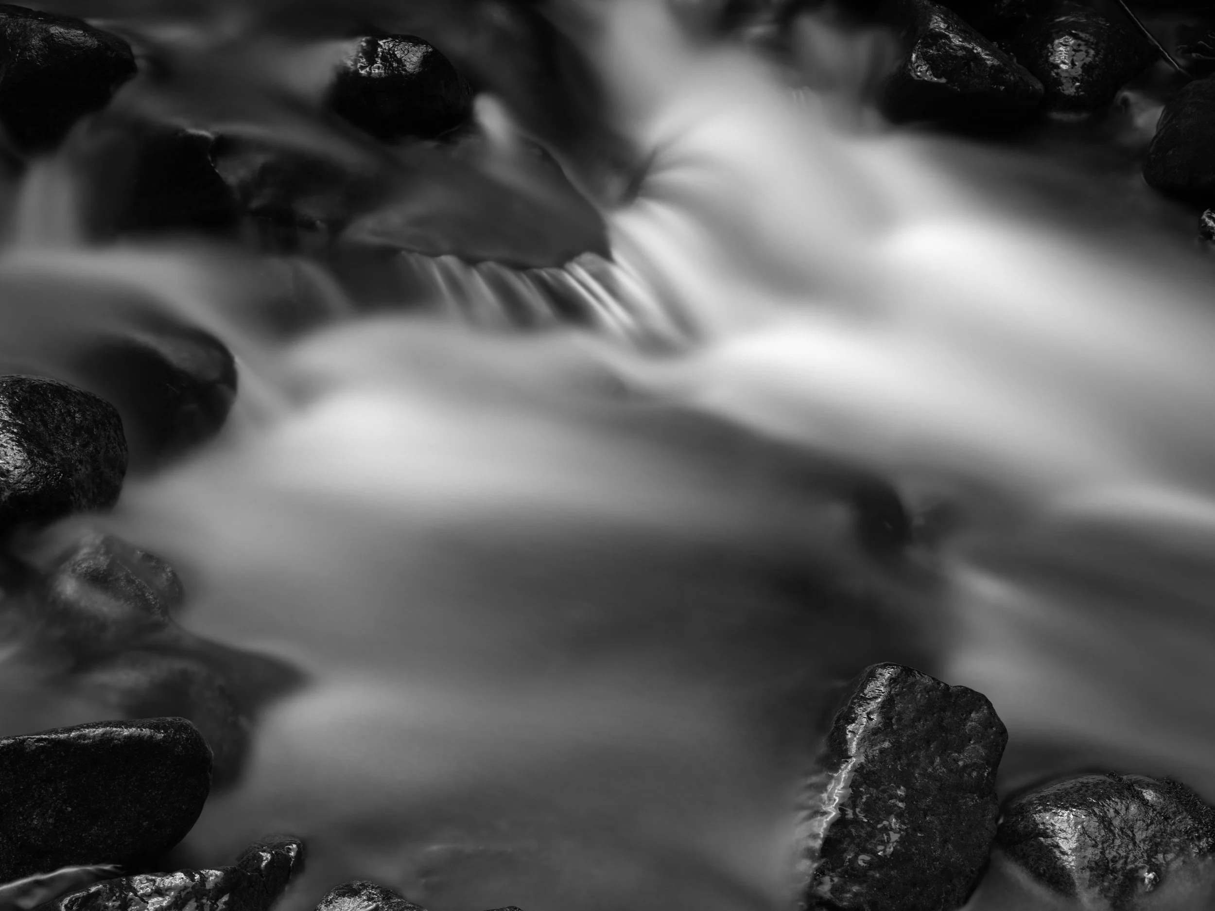 Rain-forest Stream II